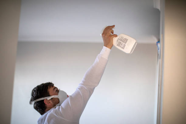 Best Same-Day Mold Removal  in Gibsonia, PA